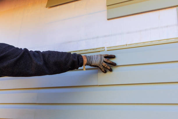 Best Custom Trim and Detailing for Siding  in Fordoche, LA